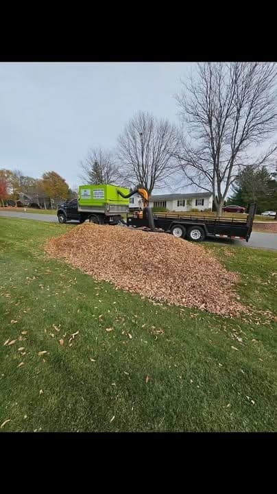 Large pile of wood chips on lawn with truck and trailer in background, autumn trees nearby.