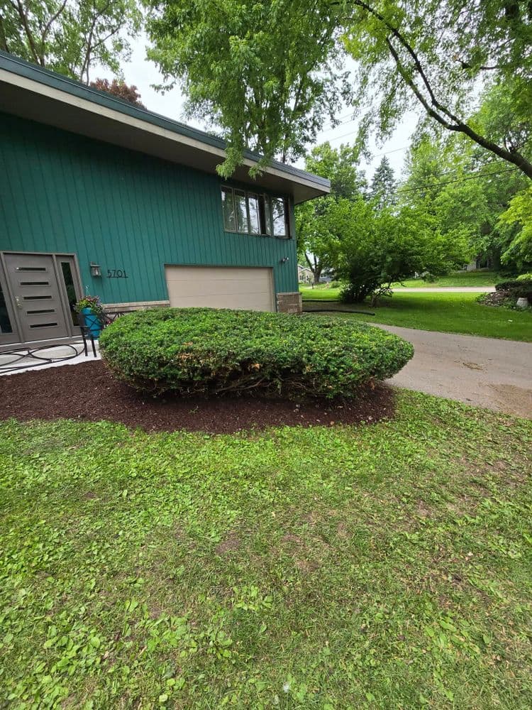 Modern teal house with a manicured shrub and green lawns in a peaceful suburban setting.