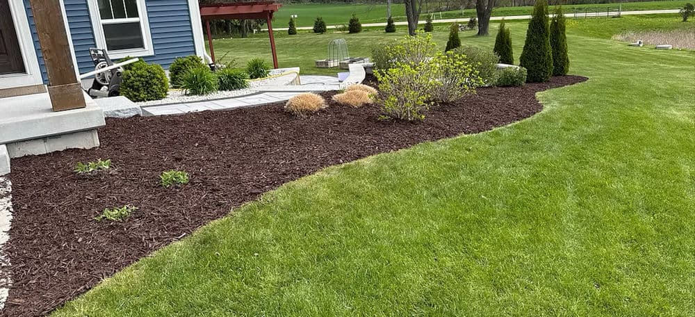 Featured post - Autumn Lawn Renovation: Essential Tips for a Lush Landscape with DQ Lawn and Snow