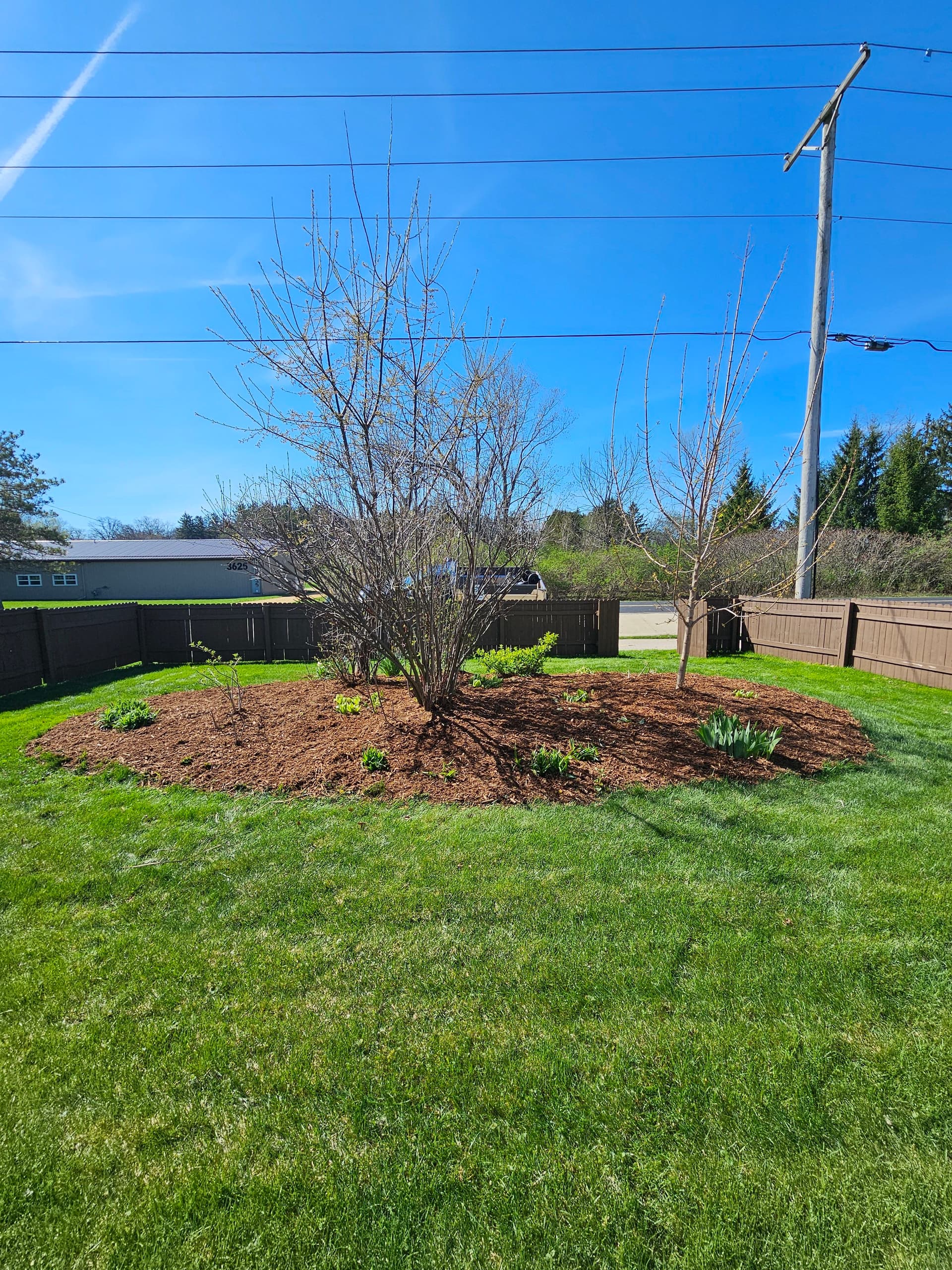 Gallery photos for Fresh Mulch and Clean Beds Across Multiple Yards: Image #1
